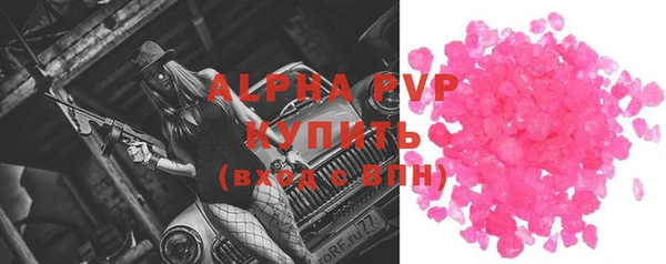 эйфоретик Бородино