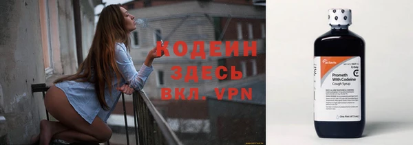 эйфоретик Бородино