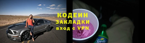 эйфоретик Бородино