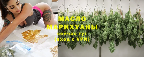 эйфоретик Бородино