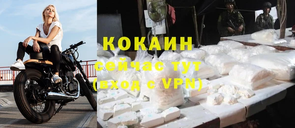 винт Майский