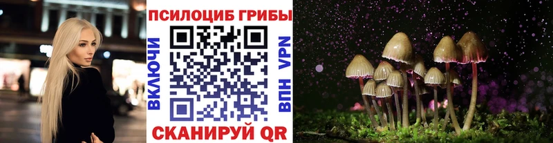 Галлюциногенные грибы Psilocybe  продажа наркотиков  Дрезна 
